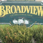 Real Estate Agent in Broadview IL